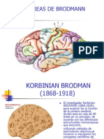 6635670 Areas de Brodmann