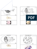 Lab Report Zoology3