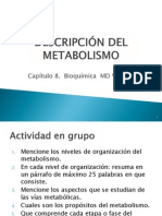 1. Descripcion Del Metabolismo Cap. 8