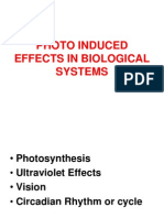 Photo Induced Effects in Biological Systems