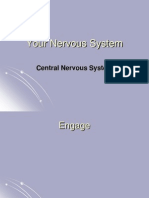 Nervous System CNS