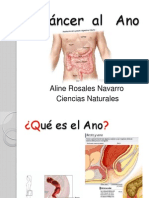 El Cáncer  al   Ano