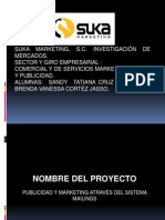 Presentacion Del Proyecto Suka 2010