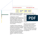 51897564 Atlas de Microorganismos