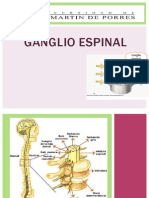 Ganglio Espinal