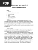 Monografia Caracal | PDF