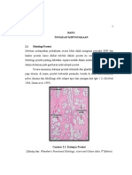 BPH Usu PDF