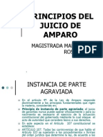 Principios Del Juicio Amparo