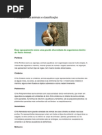 Principais filos animais e classificação