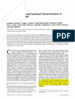 Immunol 1995 Kennedy 203 9