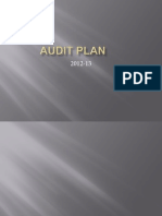 Audit Plan