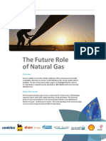 The Future Role of Natural Gas_EGAF_highlights