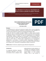 Pseudomonas Degradadoras de Plaguicidas - Microbiología
