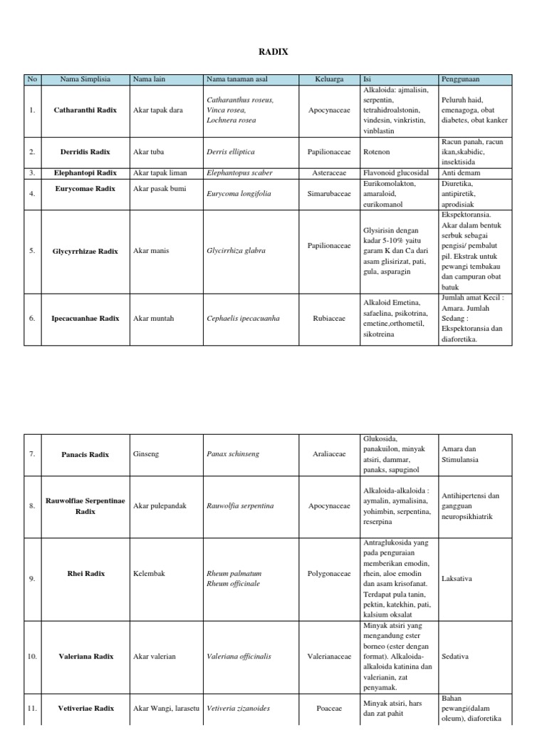 Radix | PDF | Sains & Matematika