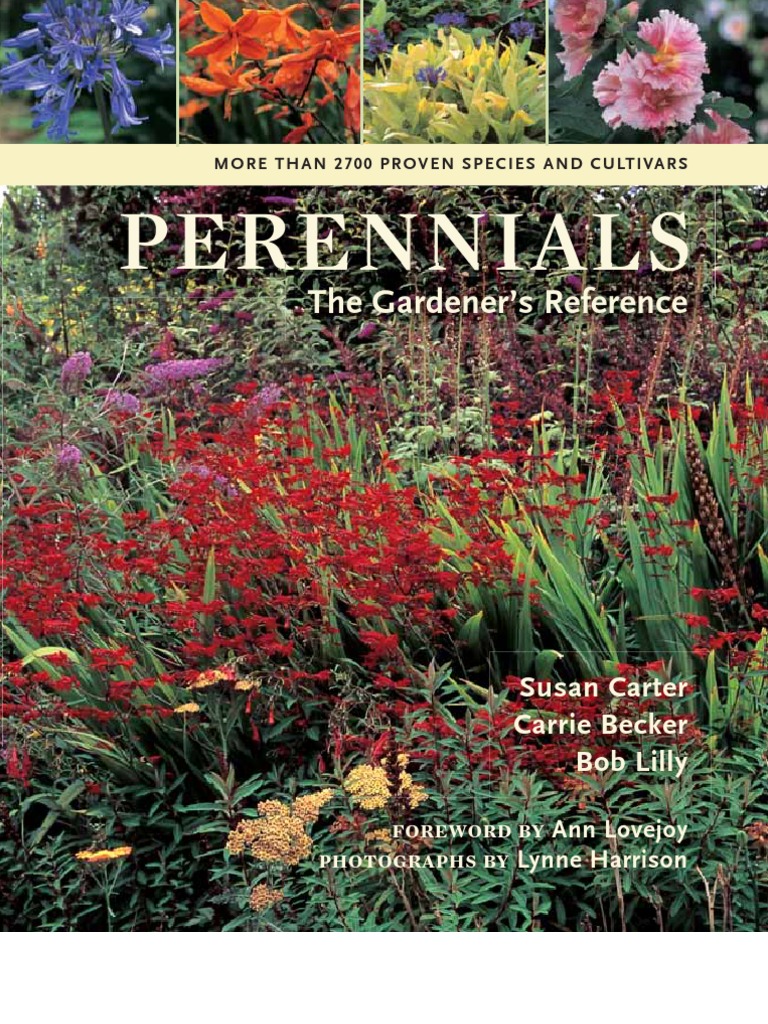 Plante Perene Perennials Mulch Compost