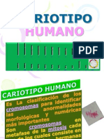 Cariotipo Humano Nueva Version
