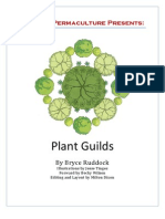 Plant Guilds eBooklet - Midwest Permaculture