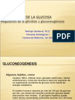 Procesos Biologicos - 17 - Gluconeogenesis.01.06.09