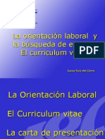 La Orientación Laboral y La Búsqueda de Empleo. El Curriculum Vitae