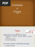 Aula 02 Bromatologia _ Umidade e Cinzas (1)