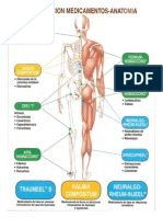 Mapa Medicamentos Anatomia.ppt