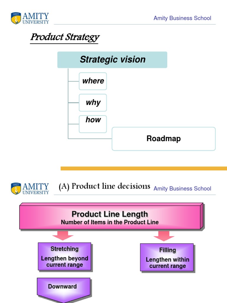 Product Strategy: Strategic Vision | PDF