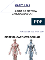 Aula 9 Sistema Cardiovascular