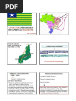 Literatura Brasileira de Expresao Piauiense