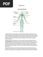 Lymphatic System.docx