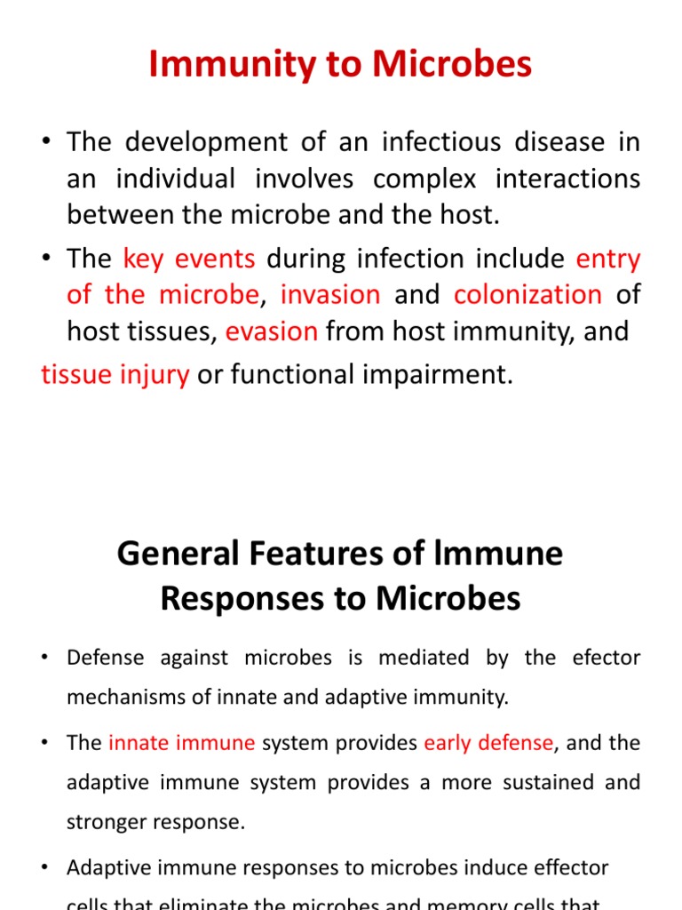 Immunity To Microbes | PDF | Immune Tolerance | Immune System