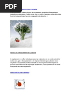 Técnicas de Congelamento de Frutas e Hortaliças