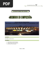 Miembros en Compresion