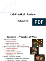Lab Practical I Review 