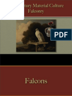 Sports & Sportsmen - Falconry