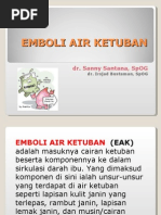 Download Emboli Air Ketuban by feto maternal SN16036788 doc pdf