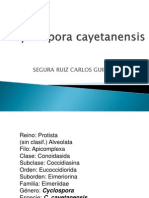 Cyclospora Cayetanensis