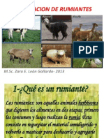 Alimentación de rumiantes: procesos digestivos y alimentos