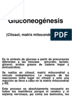 Gluconeogénesis: Síntesis glucosa precursores no hexosas