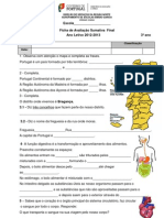 Ficha de Avaliação Sumativa Anual 3ºano