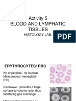 Activity 5 - Blood and Lymphatic Tissues