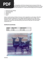 Download Panduan Menternak Kambing by nan  SN16045572 doc pdf