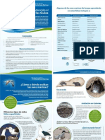 PDF Guia Aves Marinhas