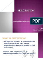 PERCEPTION1.pptx