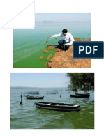 Imagenes Lago Ypakarai Trabajo de Introduccion