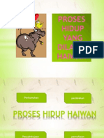 D-Proses Hidup Haiwan - Sains Tahun 4