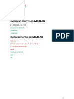 Determinante Ejemplo MATLAB