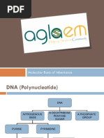 Class 12 Biology Handwritten Notes PDF | PDF | Science & Mathematics