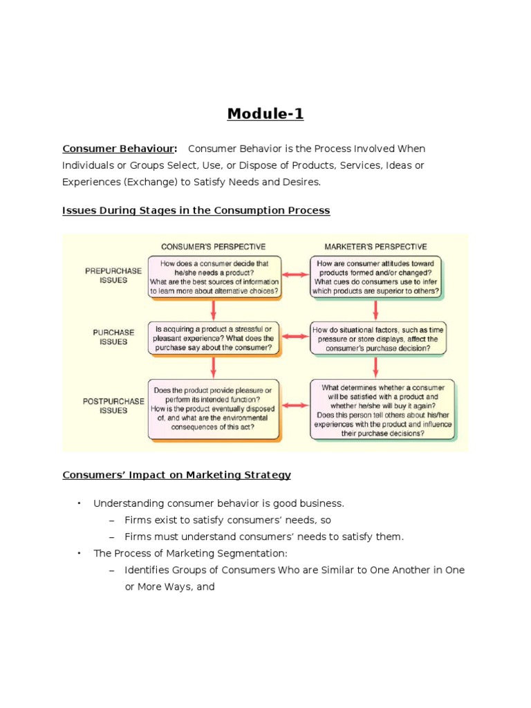 Consumer Behaviour | PDF