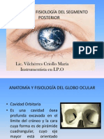 Anatomía y fisiología ocular