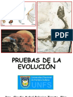 Pruebas Evolucion